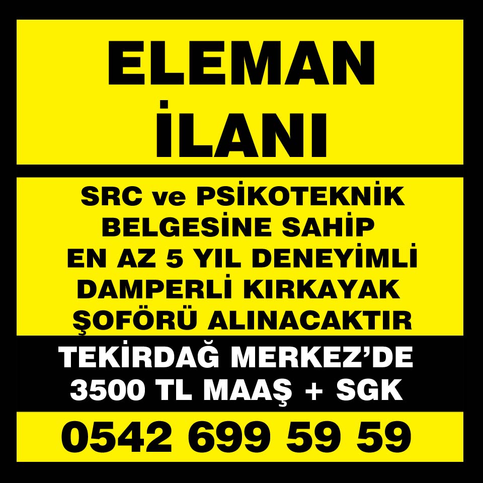 ELEMAN 2