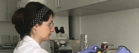 NKÜ Öğretim Görevlisi Dr. Sıla Barut Gök’ün Patent Başarısı