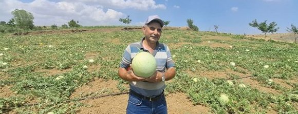 Tekirdağlı Üretici Ata Tohumuyla Hem Kuraklığı Hem Ekonomik Krizi ...