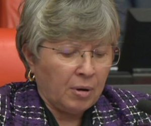 Nurten Yontar Araç Muayene İstasyonlarını Meclis Gündemine Taşıdı