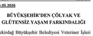 Tekirdağ Büyükşehir Belediyesine Tepki, Semineri De Mezarlıkta ...