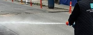 Süleymanpaşa Belediyesinden Vektörlerle Kesintisiz Mücadele Sürüyor