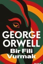 Bir Fili Vurmak