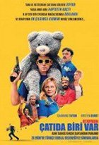 Çatıda Biri Var - Roofman